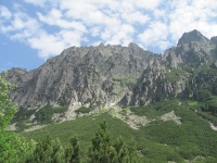 IMG_6323.jpg, 30kB